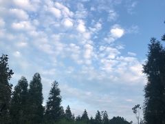 -山王坪喀斯特国家生态公园