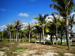 -亚龙湾国际玫瑰谷