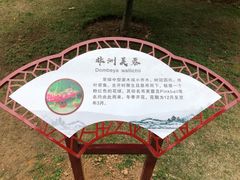 -南宁南湖公园