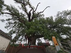 -新安江山水画廊风景区