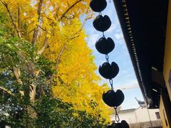 -西园戒幢律寺