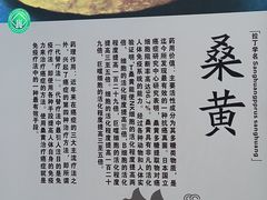 -黄公望隐居地