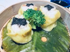 -点都德·毕德寮