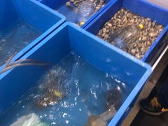 -象山小白象海鲜面