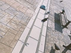 -黑潮市场
