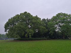 -西湖外事游船(花港观鱼码头)