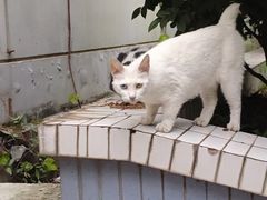 -湖北中医药大学(昙华林校区)