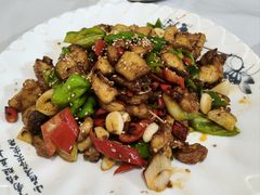 -煲来饱去冷水鱼