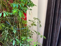 -素心小筑(后沙裕镇店)