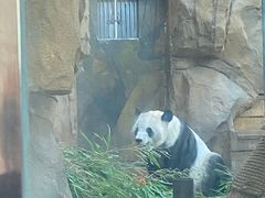 -成都动物园