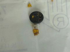 -乐宠动物医院