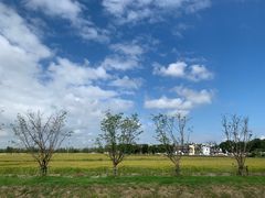 -祝甸砖窑文化馆