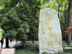 -灵谷景区