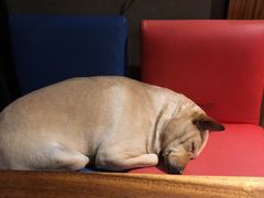 -Cactus墨西哥仙人掌餐厅