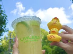 -LINLEE林里·手打柠檬茶(锦江太古里店)