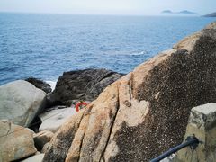 -广东惠东海龟国家级自然保护区