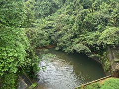 -鼎湖山风景区