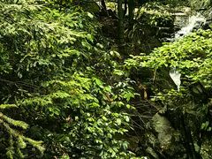 -藏龙百瀑风景区