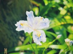 -上海滨江森林公园