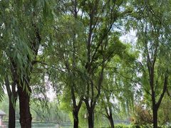 -西安汉城湖景区