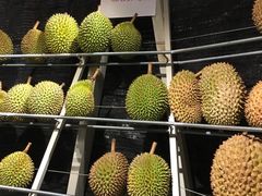 -都念榴莲·城市榴莲