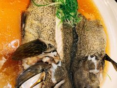 -海九澎湖海鲜餐厅