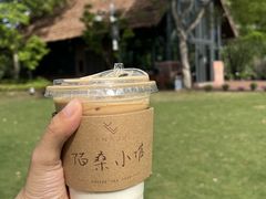 -长兴太湖图影湿地文化园