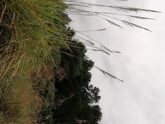 -保利石象湖景区