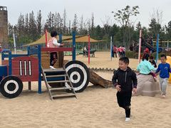 -上海长兴岛郊野公园