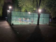 -莲花池公园