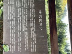 -杨家堂村