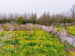 -东平国家森林公园