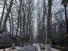 -灵谷景区