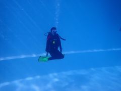 -上海潜殿潜水中心