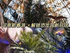 -中国西峡恐龙遗迹园