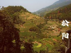 -杨家堂村