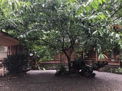-乐领拈花溪·林涧食韵
