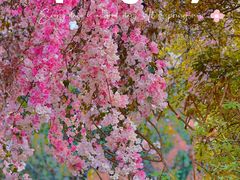 -竹子林(地铁站)