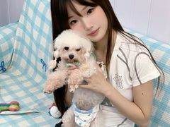 -汪说·狗咖·拼豆·宠物周边DIY(旺城大厦店)