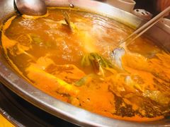 -新凯里酸汤鱼(飞山街店)