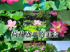 -南翠屏公园