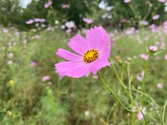 -济南国际园博园