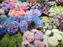 -双季花艺园艺市场(浦东店)
