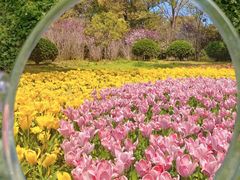 -上海鲜花港