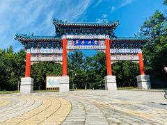 -云岗森林公园
