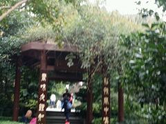 -峨眉山报国寺