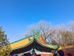 -颐和园
