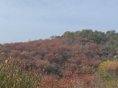 -北京西山国家森林公园