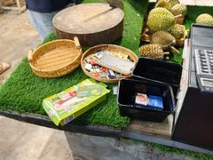 -都念榴莲·城市榴莲