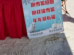 -沈阳奥体冰雪嘉年华